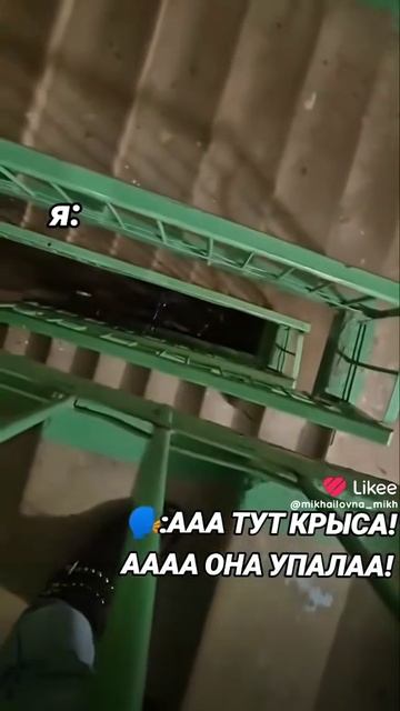 Как говорят мои подруги которые боятся мышь