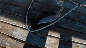 Рыбацкий рай Озеро Lewiston