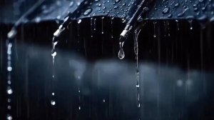 Миллион алых роз Продолжение истории