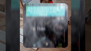 1000048850.mp4 (Собака наблюдает за устройством лестницы на 2 этаж в доме А-фрейм)