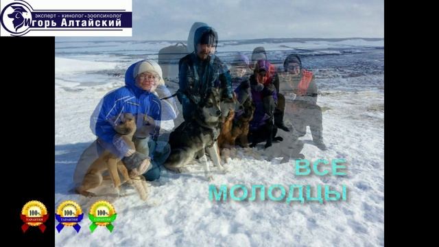 Путешествие с собакой. Кара-Баш. Татарстан.