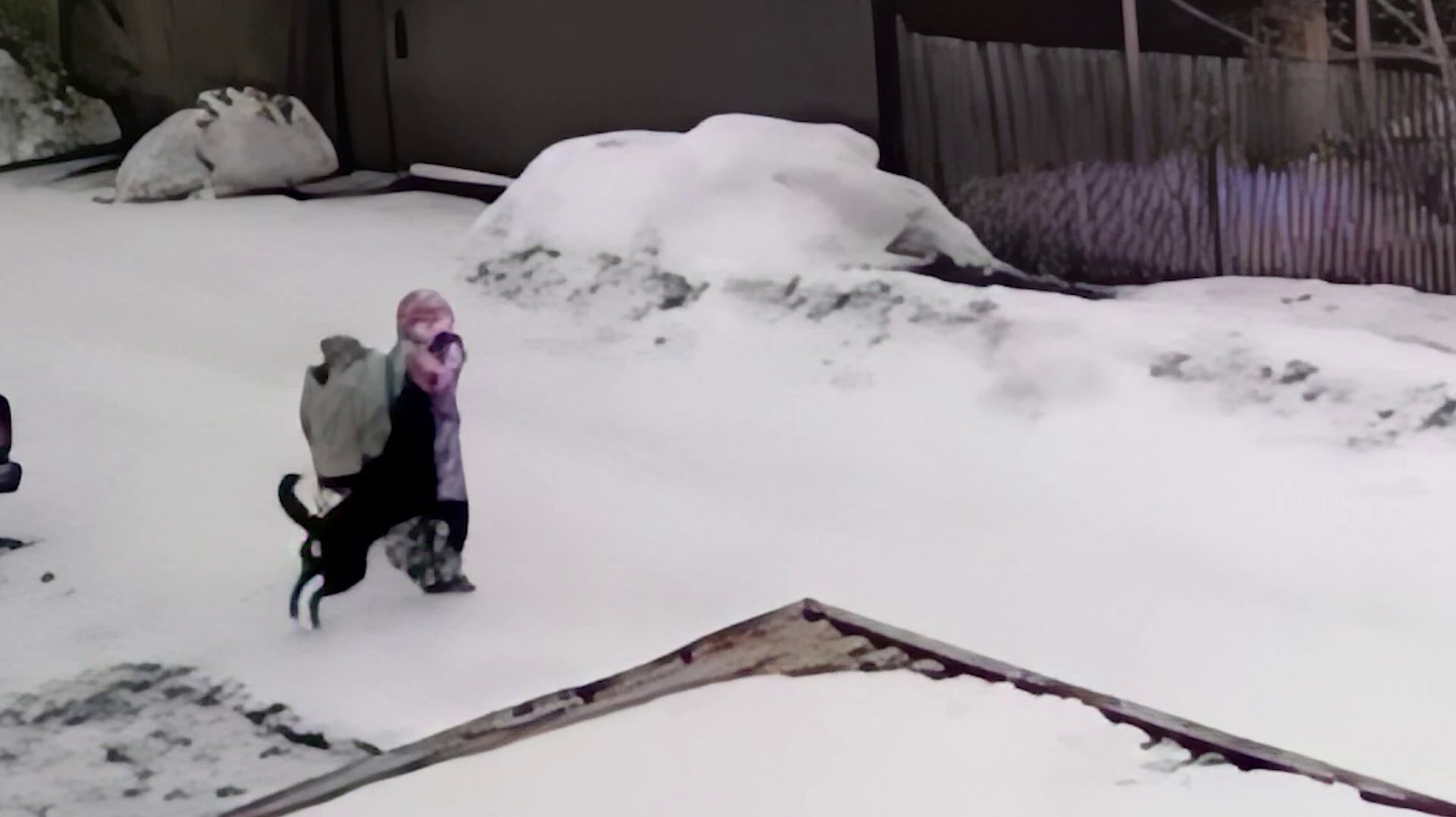 В ЕСАУЛОВО СОБАКА НАПАЛА НА 8-ЛЕТНЮЮ ДЕВОЧКУ смотреть онлайн