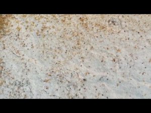 Борьба с клещем