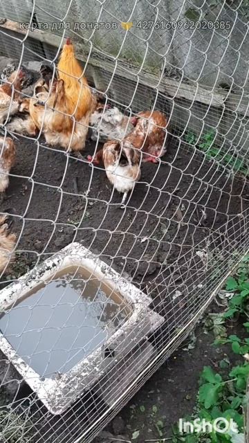 Дом и двор.Сборник интересных моментов на эту тему.Фильм12.Серия2.Часть3