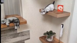 Дети , ВОЛЖАНЕ, ремонт СДЕЛАЛИ! 🤗Молодцы! 👏 Поговорим!🌺🌸🌺