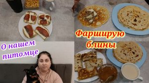 Фаршировала блины (фарш, сыр) 🥞О нашем Чарли 🐕 Будни домохозяйки 💖