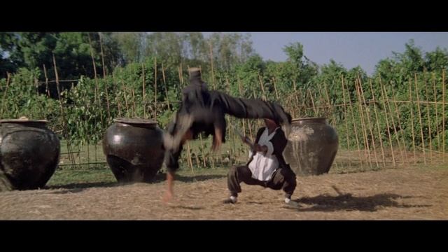 Пьяный Мастер: Соу Хай дерётся с похмелья