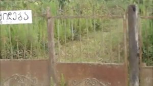 Самтредиаю