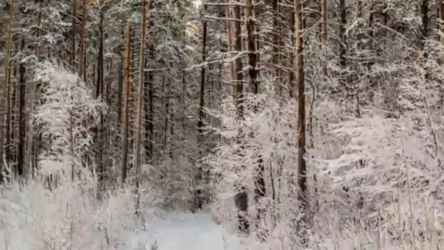 группа крови смотреть онлайн