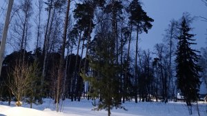 Таинственные и загадочные сумерки ..