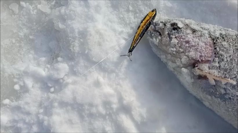 Продолжаем ловить на Спорт-зоне. Клёвое место Лосиный остров. смотреть онлайн