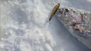 Продолжаем ловить на Спорт-зоне. Клёвое место Лосиный остров.