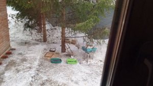 белая полоска