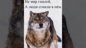 Garik Garik - Ну-ка глянь в мои глаза и скажи, что ты там видишь?💯