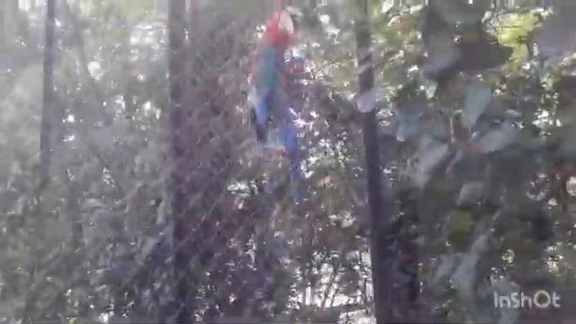 Сафари - парк Тайган. Часть 2