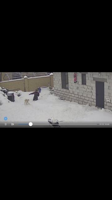 Немного юмора