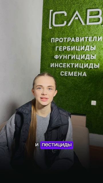 Почему прилипатель, а не мыло? смотреть онлайн