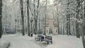 ЕВФ.1.2.!! В ЦАРИЦЫНО ЗИМА ! ПОПУЛЯРНАЯ ПЕСНЯ НА СТИХИ поэтессы Елены Вагнер Федосеевой. 2026.