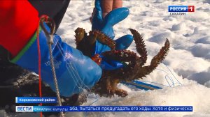 "Вести. Сахалин. Курилы". 17 февраля 2026 года