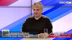 На Ставрополье ежегодно закладывают порядка 500 гектаров многолетних насаждений