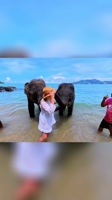 Слон обнял, поцеловал и окатил водой 🐘💦