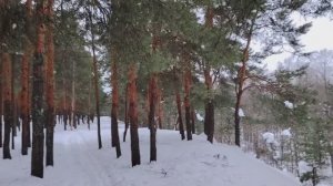 Наши права и финансовая грамотность. Истории из СМИ