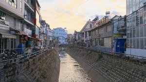 Китайский Новый год в Далате