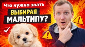 Что нужно знать выбирая Мальтипу?