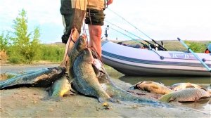 Невероятный ЖОР И СОКРУШИТЕЛЬНЫЕ ПОКЛЁВКИ!!!! Рыбалка на крупного дикого сазана