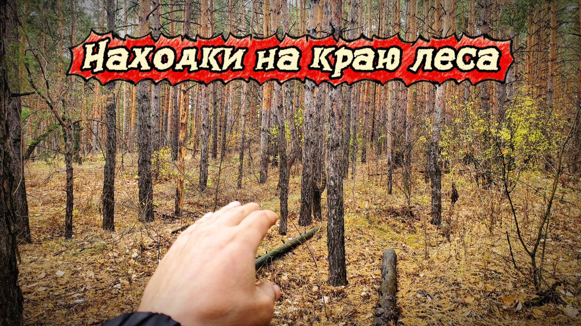 Нашёл орлянку на краю леса. Коп в Тольятти.