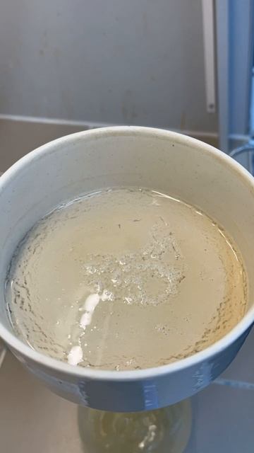 Испытания пшеничной муки. (il-mskts.ru) — Дата Размещения — 10.03.2026