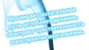 Симфония 3 хромосомы  по методу LUMINOTA