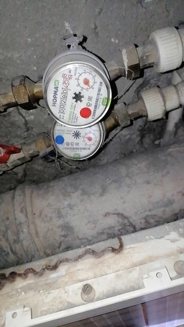 VID_20260214_224911.mp4