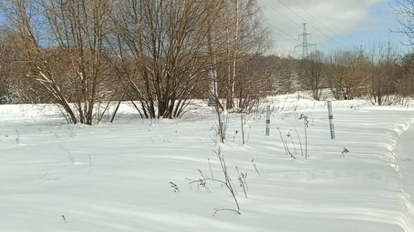 Зимняя природа.