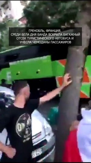 🙀 Среди бела дня банда вскрыла багажный отсек туристического автобуса и унесла чемоданы пассажиров