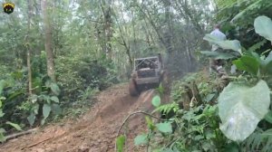 Вездеходы в лесу 📸