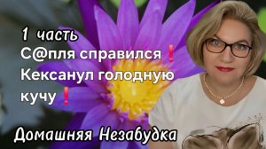 1 часть. С@пля справился❗️Кексанул голодную кучу❗️