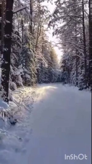 Все болезни от нервов