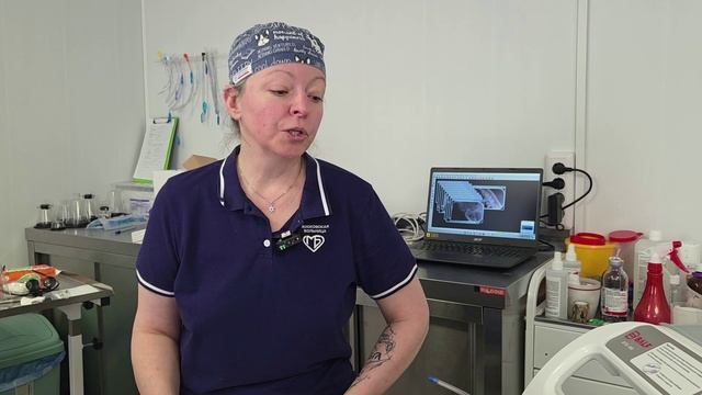 Видеосюжет лечения зубов у кота Пуха - друга авиамедведя Мансура смотреть онлайн
