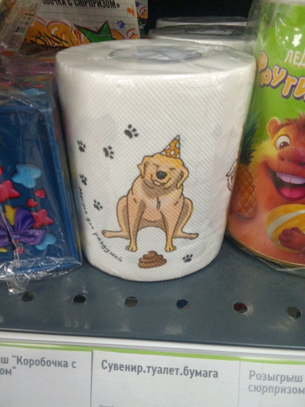 собака на бумаге