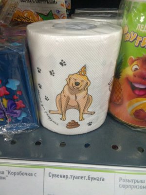 собака на бумаге