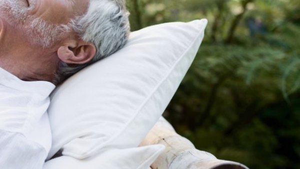 Начало жизни и финал