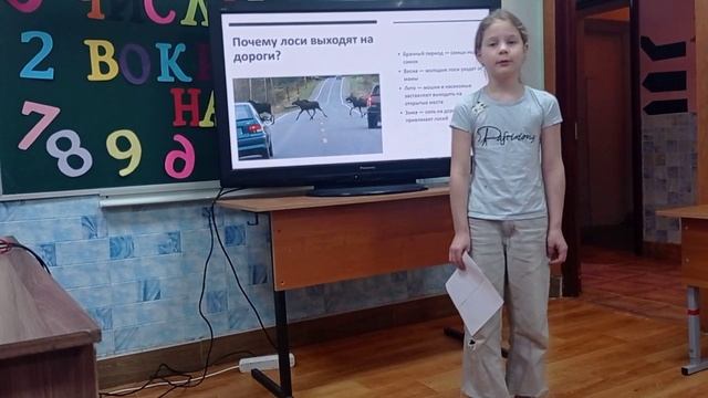 Бондаренко Светлана 2Н - Почему лоси выходят на дорогу смотреть онлайн