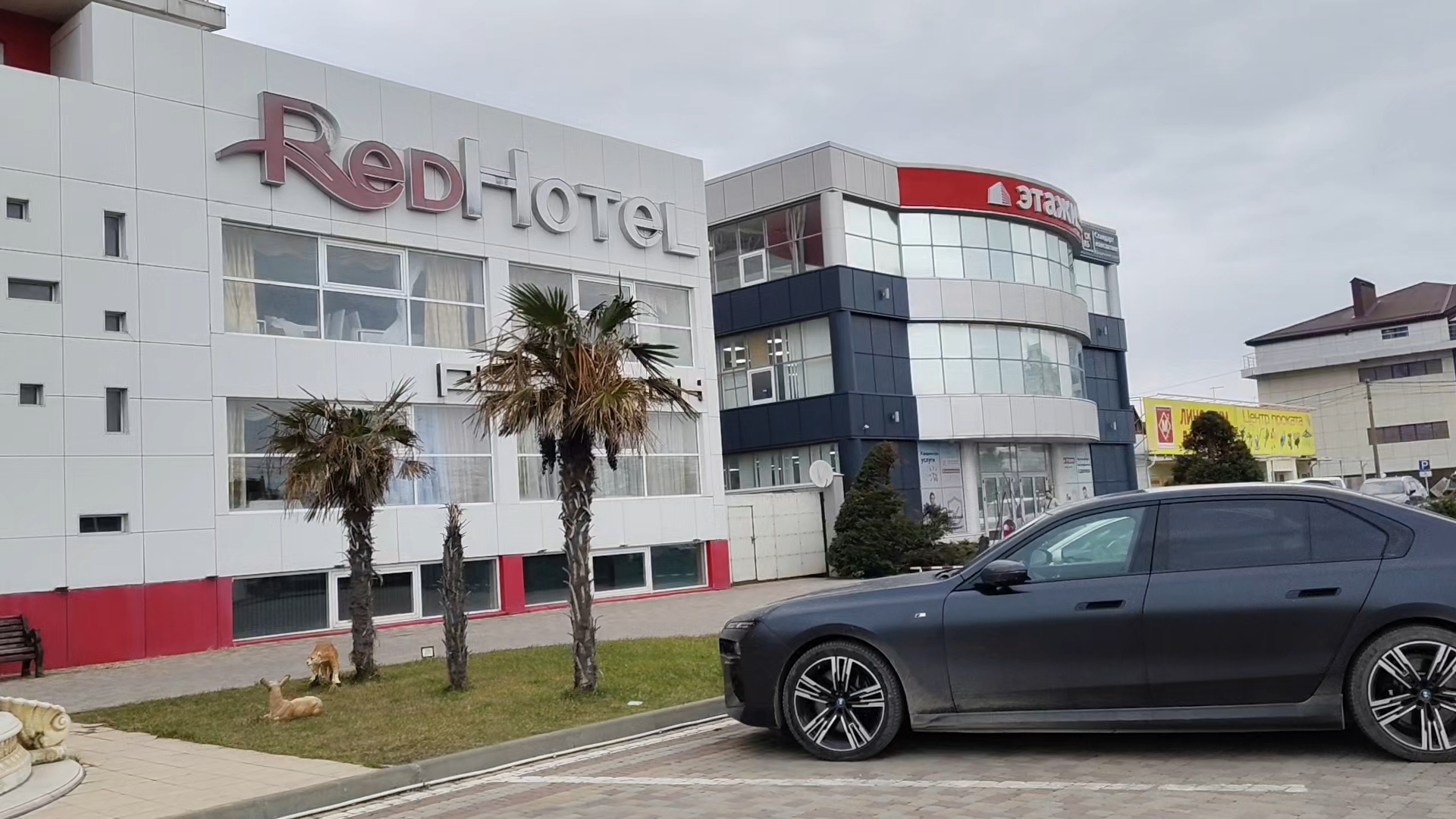 Живые пальмы в Анапе Где растут? #анапафевраль2026 смотреть онлайн