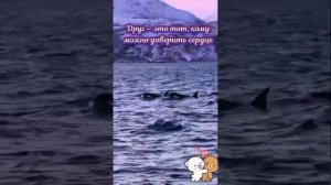 c088af08-02f3-40ff-87cc-a2e5d045bd5d.mp4