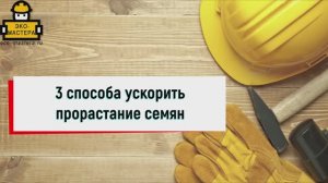 3 способа ускорить прорастание семян