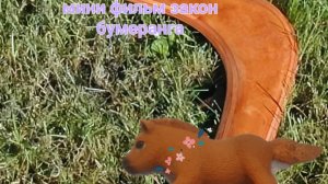 мини фильм закон бумеранга