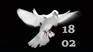 18.02.2026 - Прямая трансляция ст.Елизаветинская