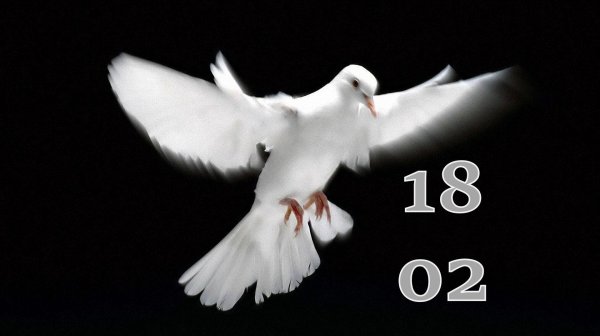 18.02.2026 - Прямая трансляция ст.Елизаветинская