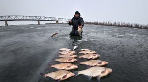 ПРОСТЫЕ ДЕРЕВЯШКИ, А КАК ЛОВЯТ РЫБУ! ЛЕЩИ ПРУТ - ЛЕСКА ТРЕЩИТ! Крупная густера ловится. ИДЕАЛЬНО!